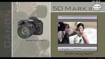 91pro视频直播,打造沉浸式互动体验的直播盛宴